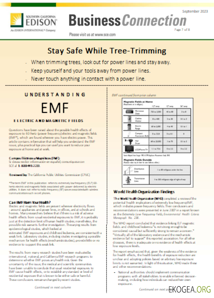 Facture commerciale de services publics EDISON de Californie du Sud, page 7, SCR